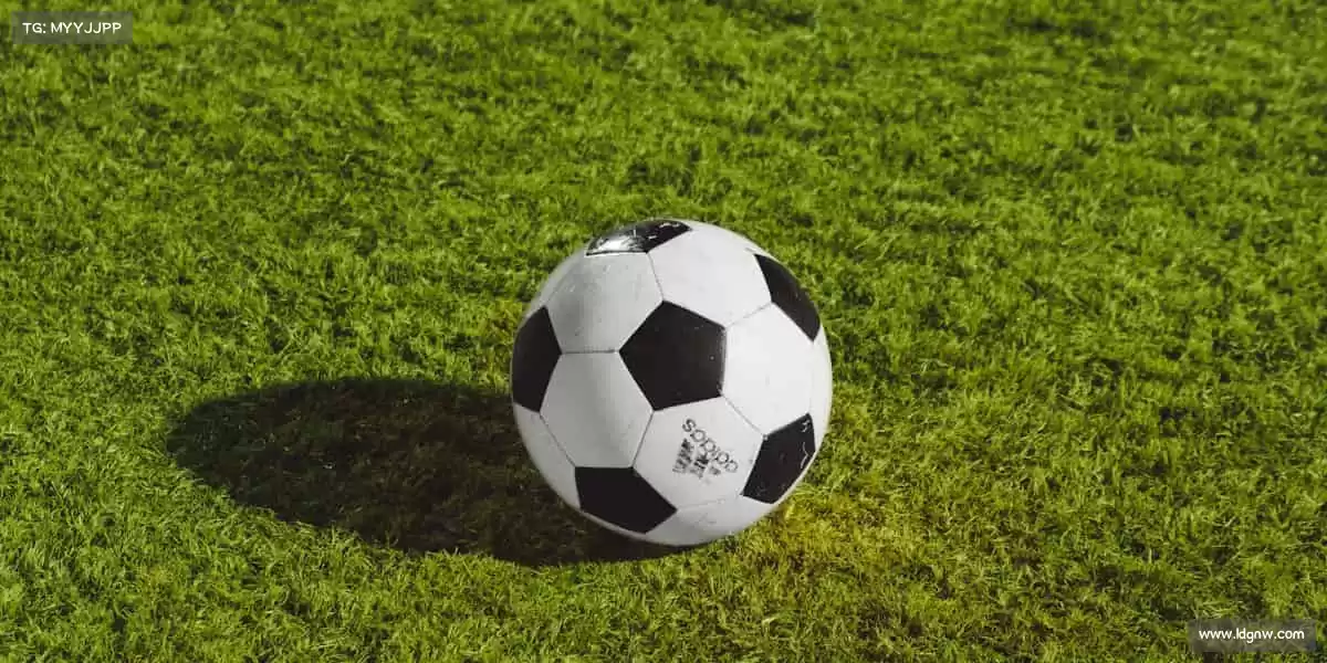 我们的核心竞争力